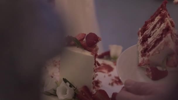 Wedding cake of a gay couple during the wedding party while photographers shooting. Homo wedding party — Stock Video