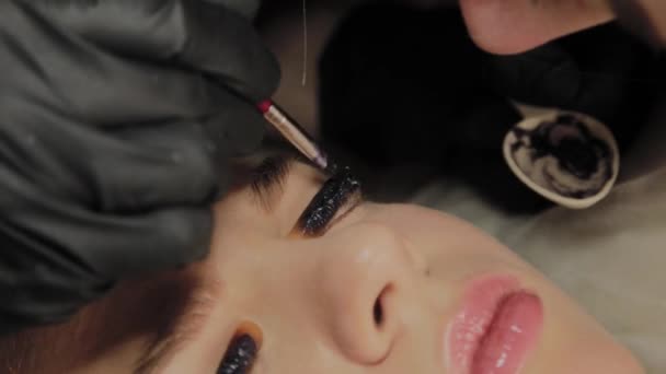 En mycket vacker flicka i en Skönhets Salong gör en laminering fransar. Kosmetolog sätter färg på ögonfransarna. — Stockvideo