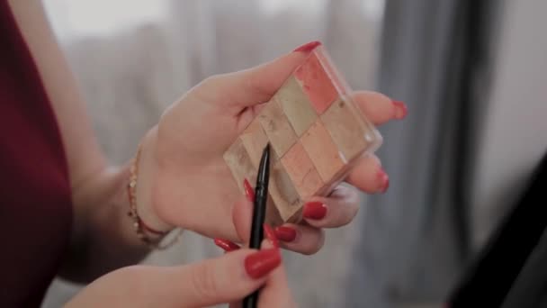 Artista de maquiagem profissional segura ferramenta para visagem nas mãos — Vídeo de Stock