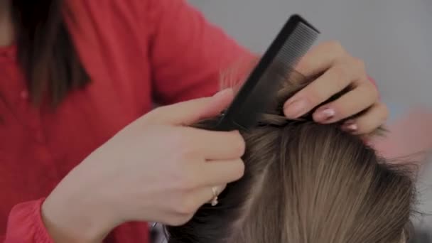 Professional hairdresser does a girls hairstyle for a photo shoot. — Stock Video