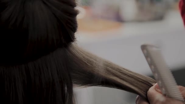 プロの美容師は、写真撮影のための女の子の髪型をします. — ストック動画