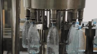 İçme suyu ve karbonatlı içeceklerin üretimi, şişeleri suyla doldurma süreci, taşıyıcı.