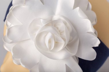 Beyaz arka plan üzerinde kızlar için bandaj ile çocuk manken Başkanı.