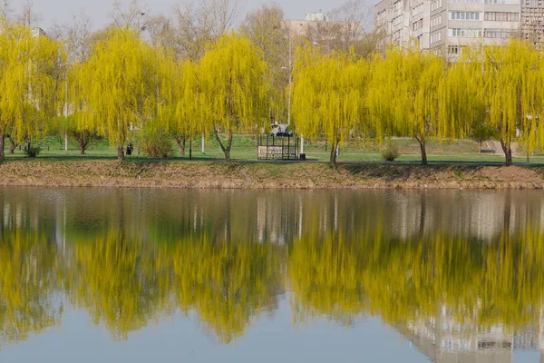 Reflections of tree houses in a city lake.