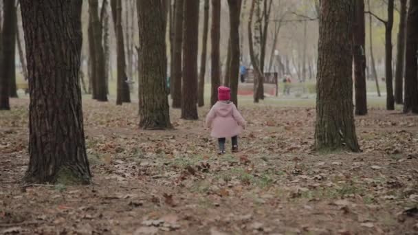 Vacker liten flicka som går ensam i skogen. — Stockvideo