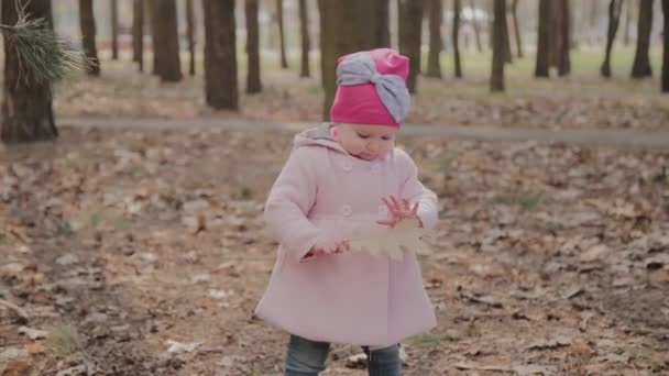 Vacker liten flicka som går ensam i skogen. — Stockvideo