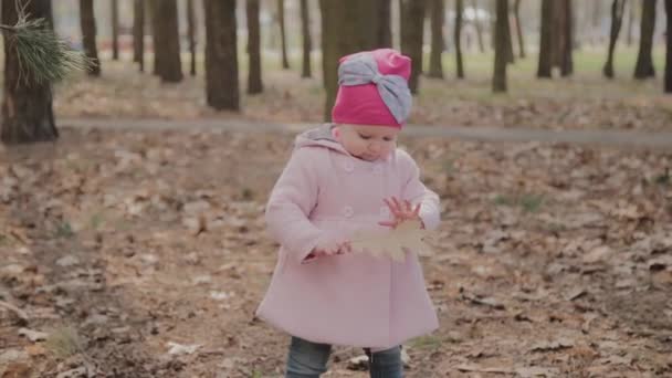 Beautiful little girl walking alone in the forest. — Stock Video