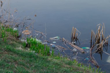 Gölün yanında çimenlerde çöp.
