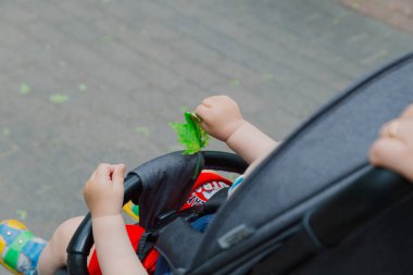 Güneşli bir günde bebek arabasında oturan küçük çocuk.