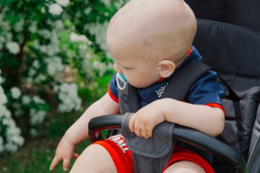 Küçük bir çocuk güneşli bir günde güzel bir çalı tarafından bir bebek arabası oturur.