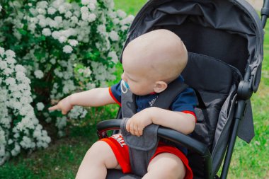 Küçük bir çocuk güneşli bir günde güzel bir çalı tarafından bir bebek arabası oturur.