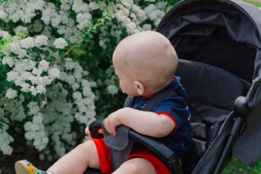 Küçük bir çocuk güneşli bir günde güzel bir çalı tarafından bir bebek arabası oturur.