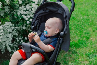 Küçük bir çocuk güneşli bir günde güzel bir çalı tarafından bir bebek arabası oturur.