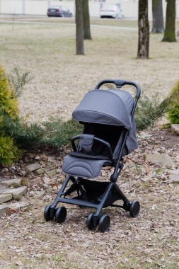 Parkta güzel bebek arabası. Yeni tasarım.