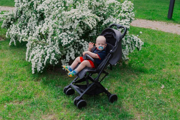 Un petit garçon est assis dans une voiture de bébé près d'un beau buisson par une journée ensoleillée . — Photo
