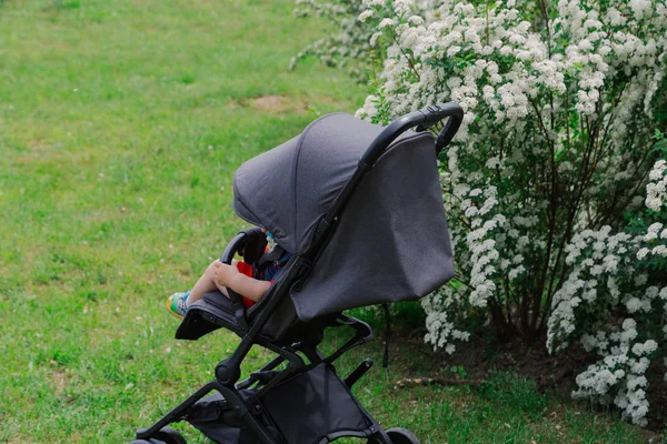 Un petit garçon est assis dans une voiture de bébé près d'un beau buisson par une journée ensoleillée . — Photo