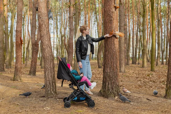 Young girl with a child in a pram feeds a squirrel. — Stock Photo, Image