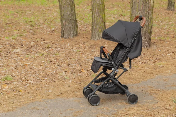 Beautiful baby carriage in the park. New design. — Stock Photo, Image