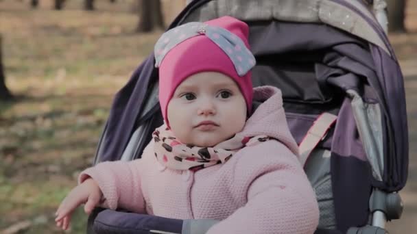 Malá holčička v kočárku v parku. — Stock video