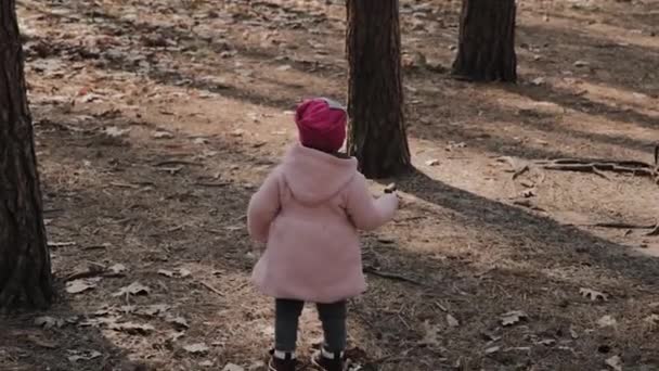 Belle petite fille marchant seule dans la forêt . — Video