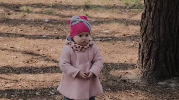 Красива маленька дівчинка йде сама в лісі . — стокове відео