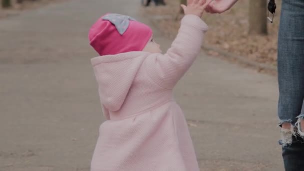 Gelukkige moeder en dochter lopen in het Park. — Stockvideo