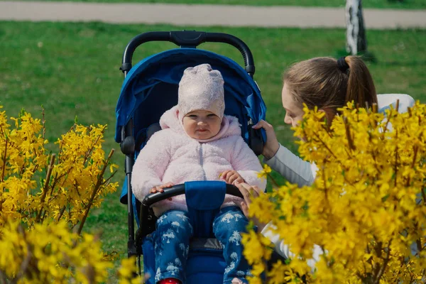 Fiatal gyönyörű, stílusos anya egy gyerekkel egy babakocsiban közel egy sárga bokor nyáron. — Stock Fotó