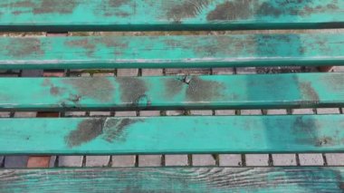 Planks banklar güneşli bir günde yakın çekim.