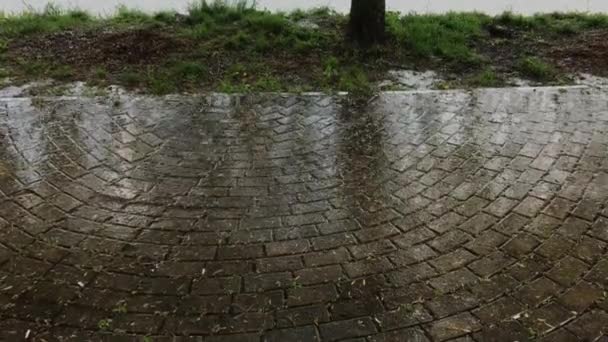 Una gran lluvia vierte sobre los azulejos del pavimento. Clima nublado . — Vídeos de Stock