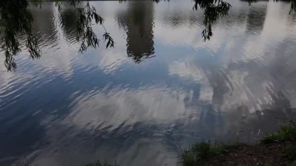 Hermoso reflejo del cielo en el lago en verano . — Vídeos de Stock