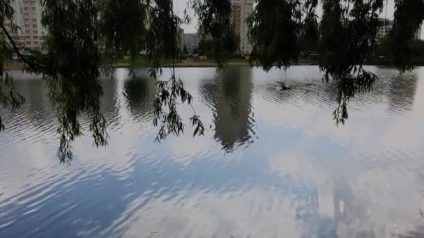 Gyönyörű égbolt reflexió a tóban nyáron. — Stock videók