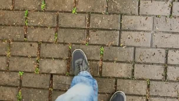 Benen på en vandrande man i byxorna. Uppifrån och. — Stockvideo