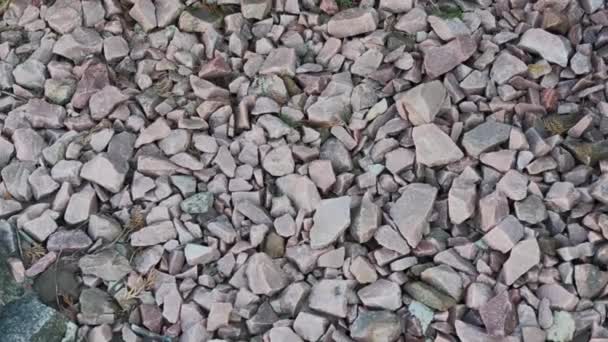 Pedra esmagada. pedra esmagada de duas cores. cascalho. Close-up — Vídeo de Stock
