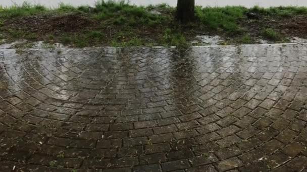 Stora regn häller på trottoaren kakel. Mulet väder. — Stockvideo