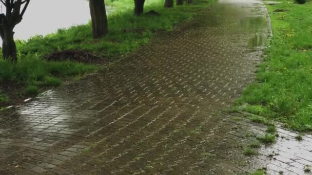 Μεγάλη βροχή χύνεται στα πλακάκια του πεζοδρομίου. Συννεφιασμένος καιρός. — Αρχείο Βίντεο
