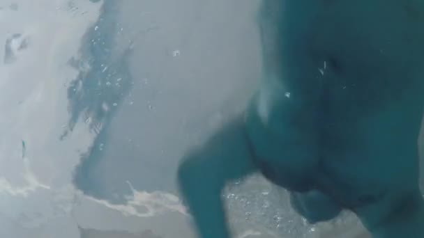 Веселый весельчак плавает в бассейне. Экшн-камера на дне бассейна . — стоковое видео