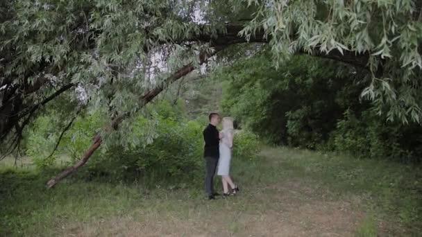 Zwei Verliebte sitzen bei sonnigem Wetter unter einem Baum und schauen einander an und lächeln. — Stockvideo