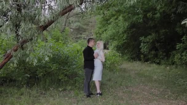 Dos amantes se sientan bajo un árbol en un clima soleado se miran y sonríen . — Vídeo de stock