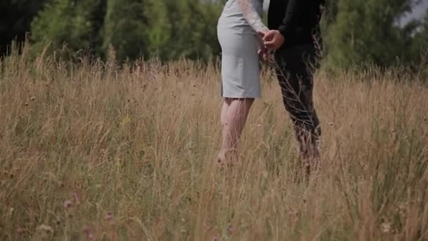 Šťastný párek v lásce stojící na poli, držící ruce. — Stock video