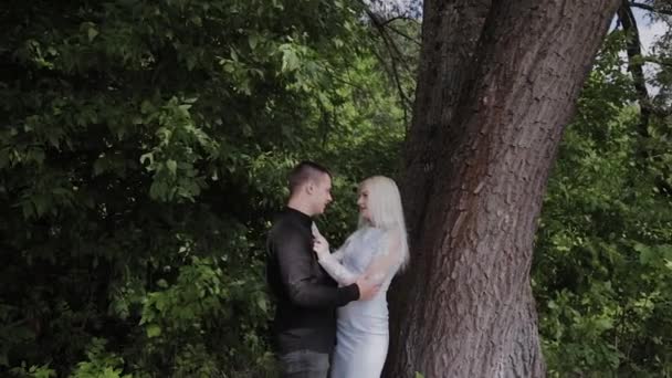 Deux amants assis sous un arbre par temps ensoleillé se regardent et sourient . — Video