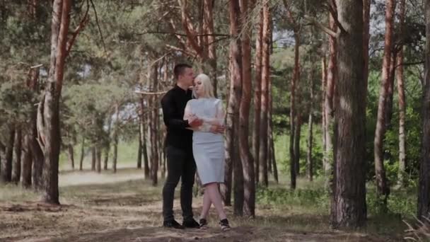 Hermosa y feliz pareja amorosa se abrazan tiernamente en el bosque . — Vídeo de stock