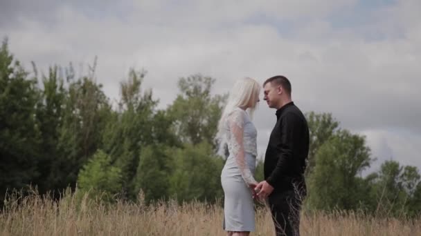 Gelukkig paar in liefde staande op het veld handen vasthouden. — Stockvideo