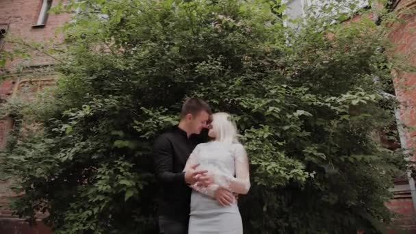 Happy loving couple basking in the branches of a green bush. — Stock Video