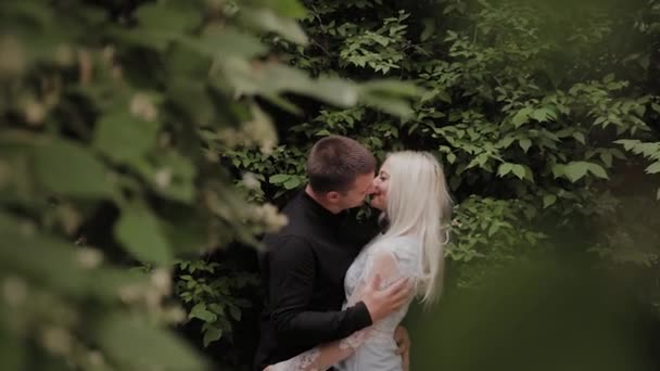 Щаслива любляча пара спирається на гілки зеленого куща . — стокове відео