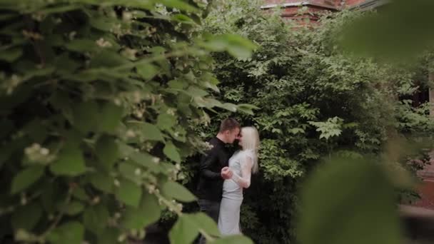 Heureux couple aimant se prélasser dans les branches d'un buisson vert . — Video