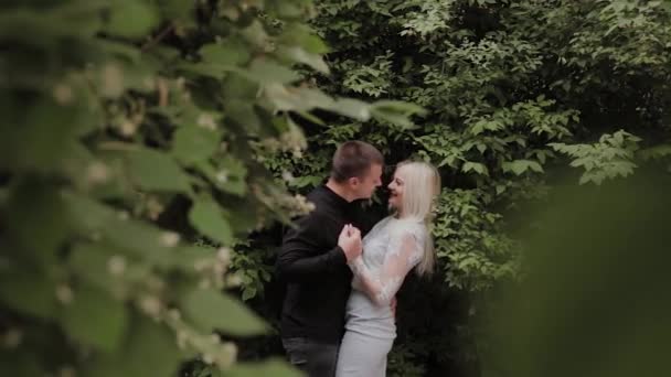 Feliz casal amoroso se saciando nos ramos de um arbusto verde . — Vídeo de Stock
