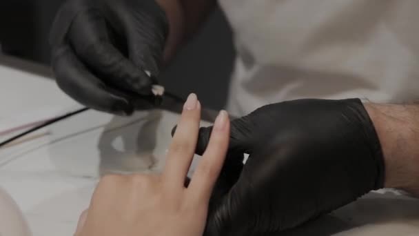 El hombre manicurista profesional barniza las uñas de la muchacha . — Vídeos de Stock