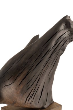 Beyaz bir arka plan üzerinde izole dört eski ahşap panoları. Eski ahşap tahta