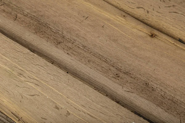 Chapa de roble viejo, textura de madera —  Fotos de Stock