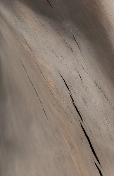 Tangan bertekstur kayu retak latar belakang, ek tua . — Stok Foto
